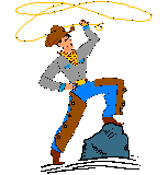 Cowboy with lasso